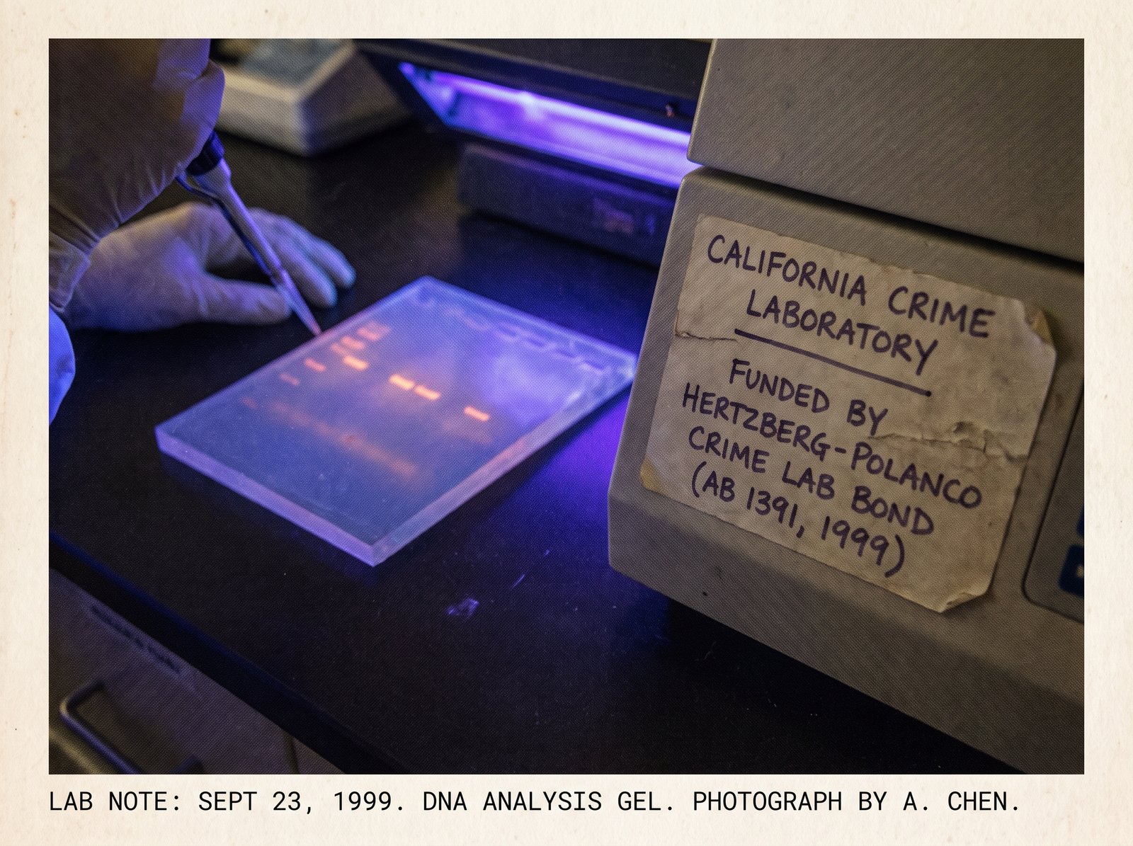 Close-up of a forensic DNA analysis gel under ultraviolet light, late afternoon light, archival editorial style, the working tool of the California crime laboratory funded by the Hertzberg-Polanco Crime Lab Bond (AB 1391, 1999).
